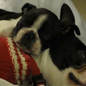 Meet your Posher, Jodie-beth