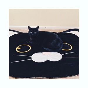 Meet your Posher, Jane