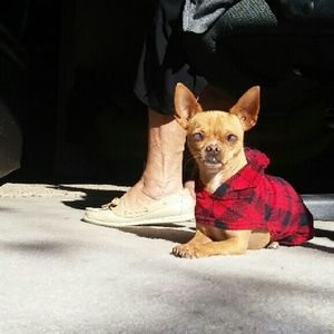 Meet your Posher, Selvyn