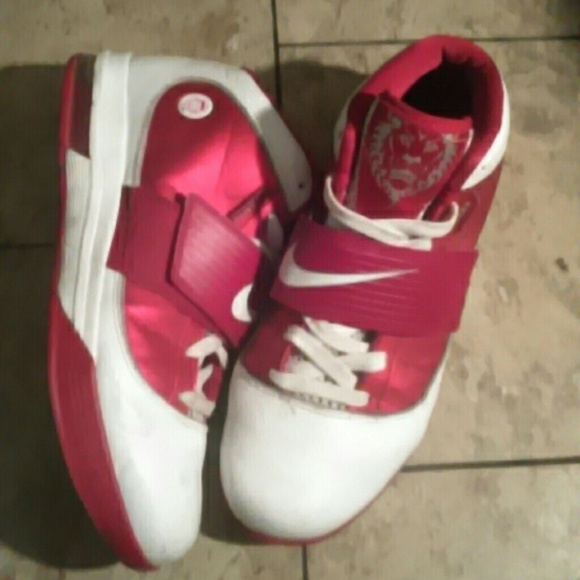 LeBron air max
