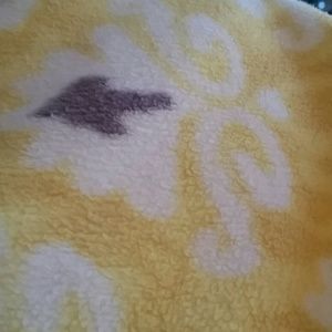 Meet your Posher, Kendra