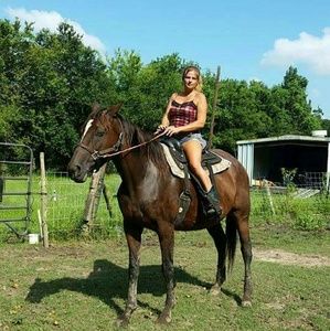 Meet your Posher, Dawn