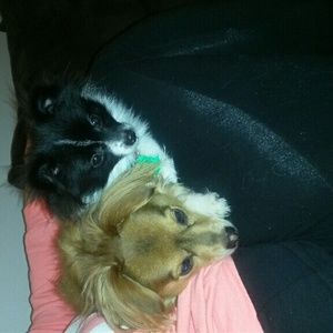 Meet your Posher, Christy