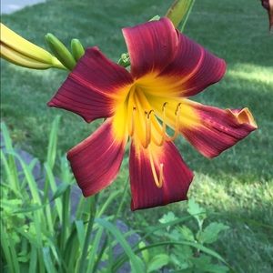 Meet your Posher, Deanna