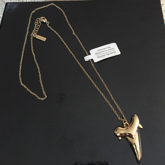 Shark tooth necklace