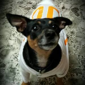 Meet your Posher, Shawna