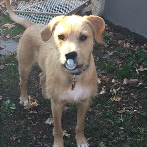 Meet your Posher, Gina