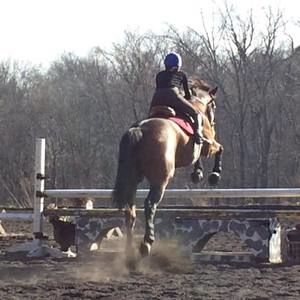 Meet your Posher, Jane