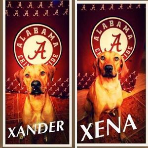 Meet your Posher, Blake