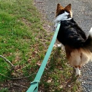 Meet your Posher, Laila