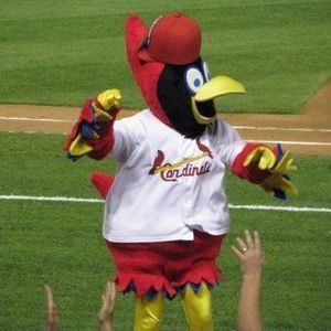 Meet your Posher, Wanda