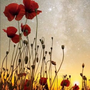 Meet your Posher, Kris