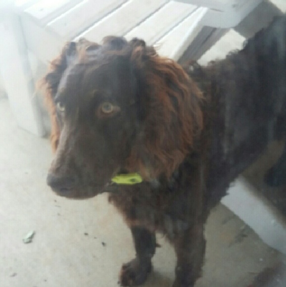 🎉Suggested User🎉 - Picture 2 of 4