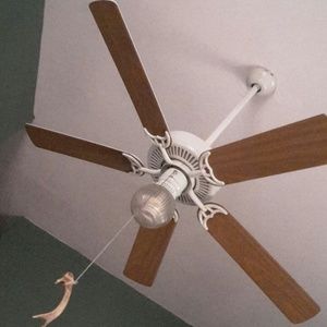 Meet your Posher, Ana