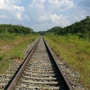 Meet your Posher, Peter