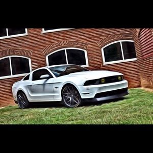 Meet your Posher, Shawn