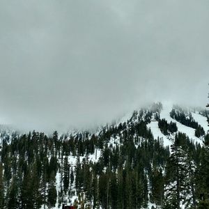 Meet your Posher, Winter