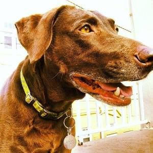 Meet your Posher, Roberto