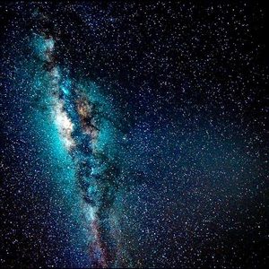 Meet your Posher, Alisha