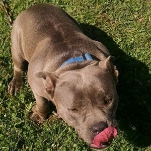 Meet your Posher, Brad