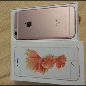 Meet your Posher, Freddy