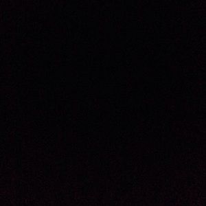 Meet your Posher, Dominique