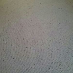 Meet your Posher, Elise