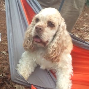 Meet your Posher, Sahana