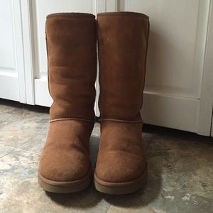 Classic Tall Ugg in Chestnut