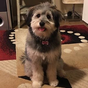 Meet your Posher, Jasmine