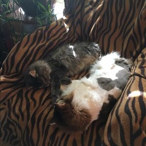 Meet your Posher, Scott