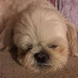 Meet your Posher, Laura