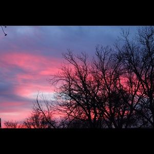 Meet your Posher, Molly