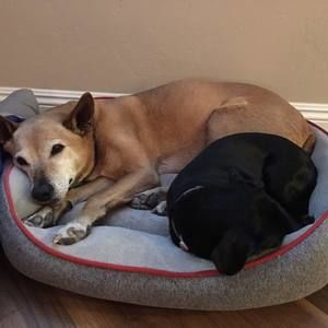 Meet your Posher, Mary-anne