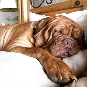 Meet your Posher, Summer