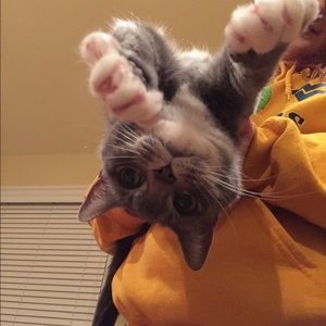 Meet your Posher, Lynne