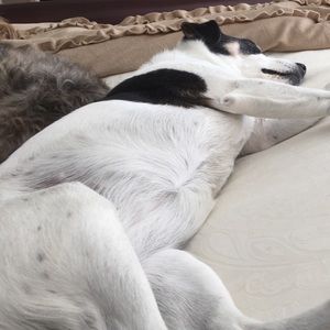 Meet your Posher, Terry