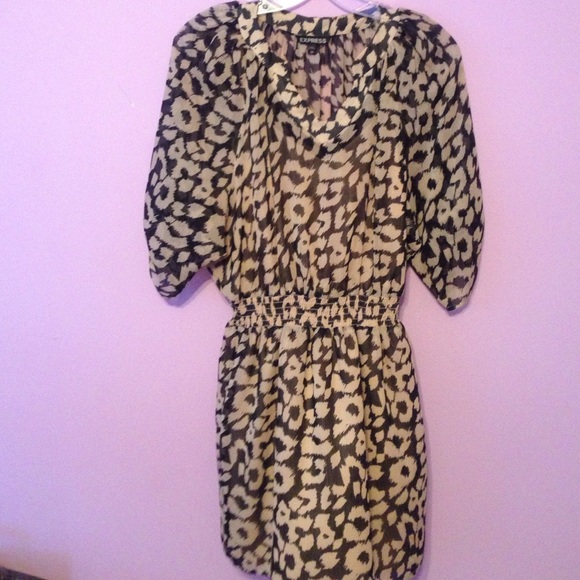 Express Shift Dress