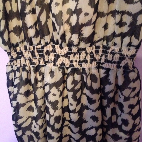Express Shift Dress - Picture 3 of 4