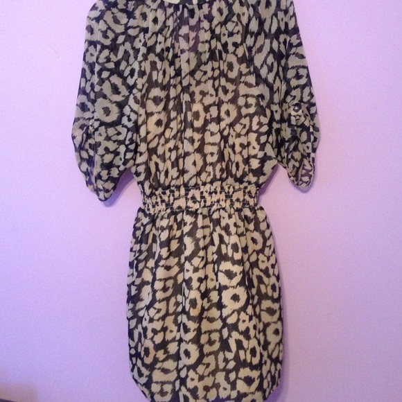 Express Shift Dress - Picture 4 of 4