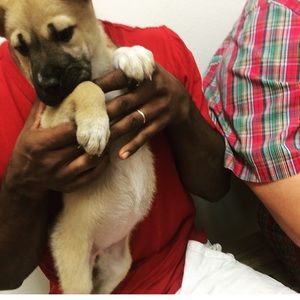 Meet your Posher, Tobias