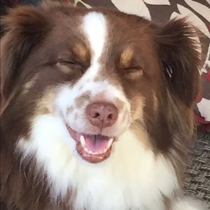 Meet your Posher, Zach