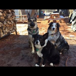 Meet your Posher, Annmarie