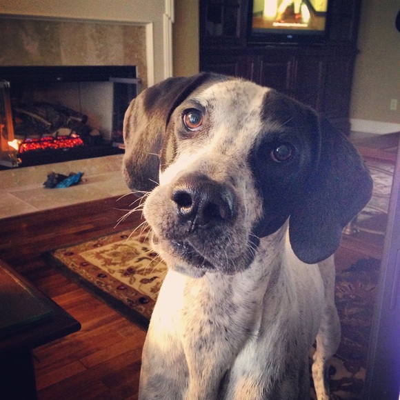 Meet your Posher, Randi