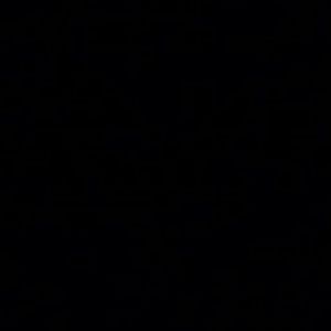 Meet your Posher, Miari