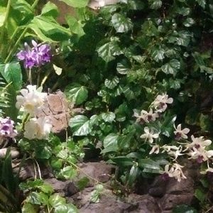 Meet your Posher, Kris