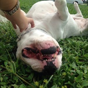 Meet your Posher, Cassie