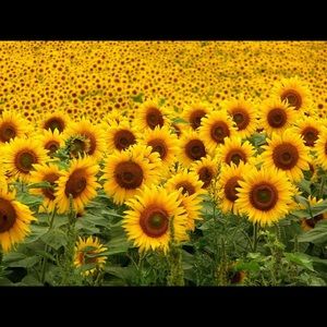 Meet your Posher, Keilyng