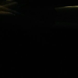 Meet your Posher, Tiana