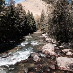 Meet your Posher, Melisa